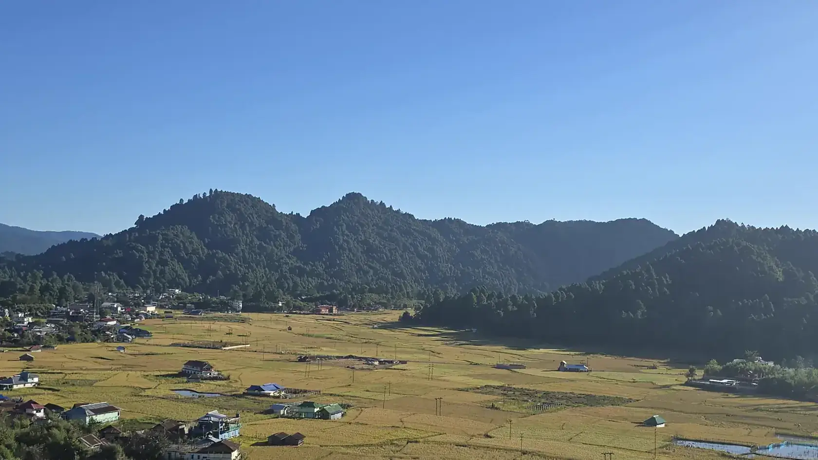 Golden rice fields and huts in Ziro Valley, Arunachal Pradesh at harvest